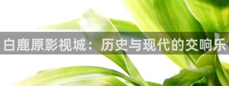 草草欧美影院：白鹿原影视城：历史与现代的交响乐