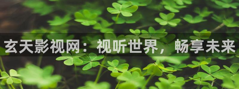 欧美影院另类：玄天影视网：视听世界，畅享未来