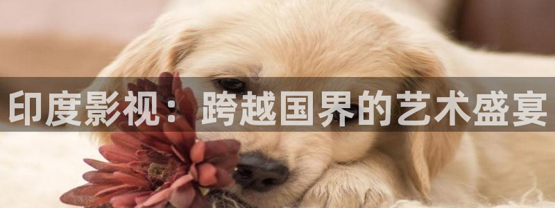拉风色中色欧美影院