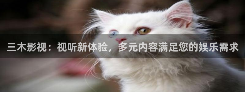 大爷操欧美影院：三木影视：视听新体验，多元内容满足您的娱乐需求