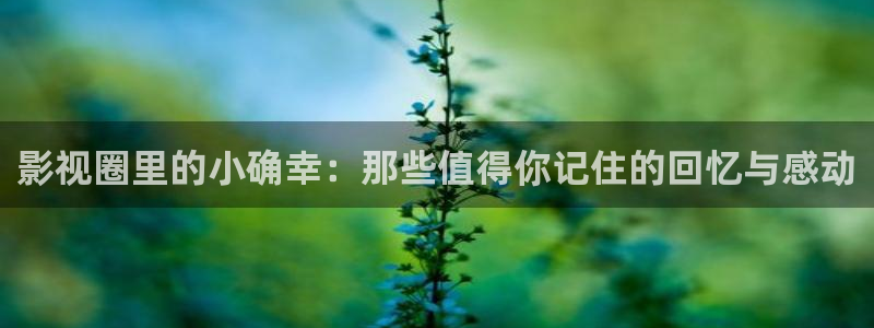 欧美影院免费在线观看：影视圈里的小确幸：那些值得你记住的回忆与感动