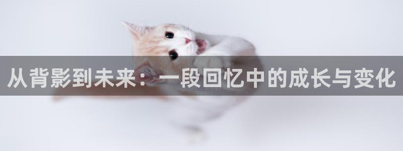 欧美影院在线观看：从背影到未来：一段回忆中的成长与变化